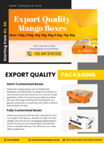 Export quality custom mango box custom mango packaging best mango mango season