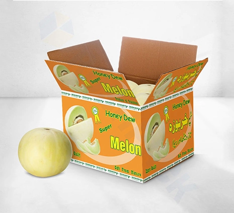 Melon Boxes