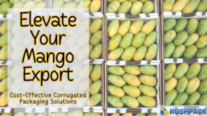 Elevate Your Mango Export: Cost-Effective Corrugated Packaging Solutions