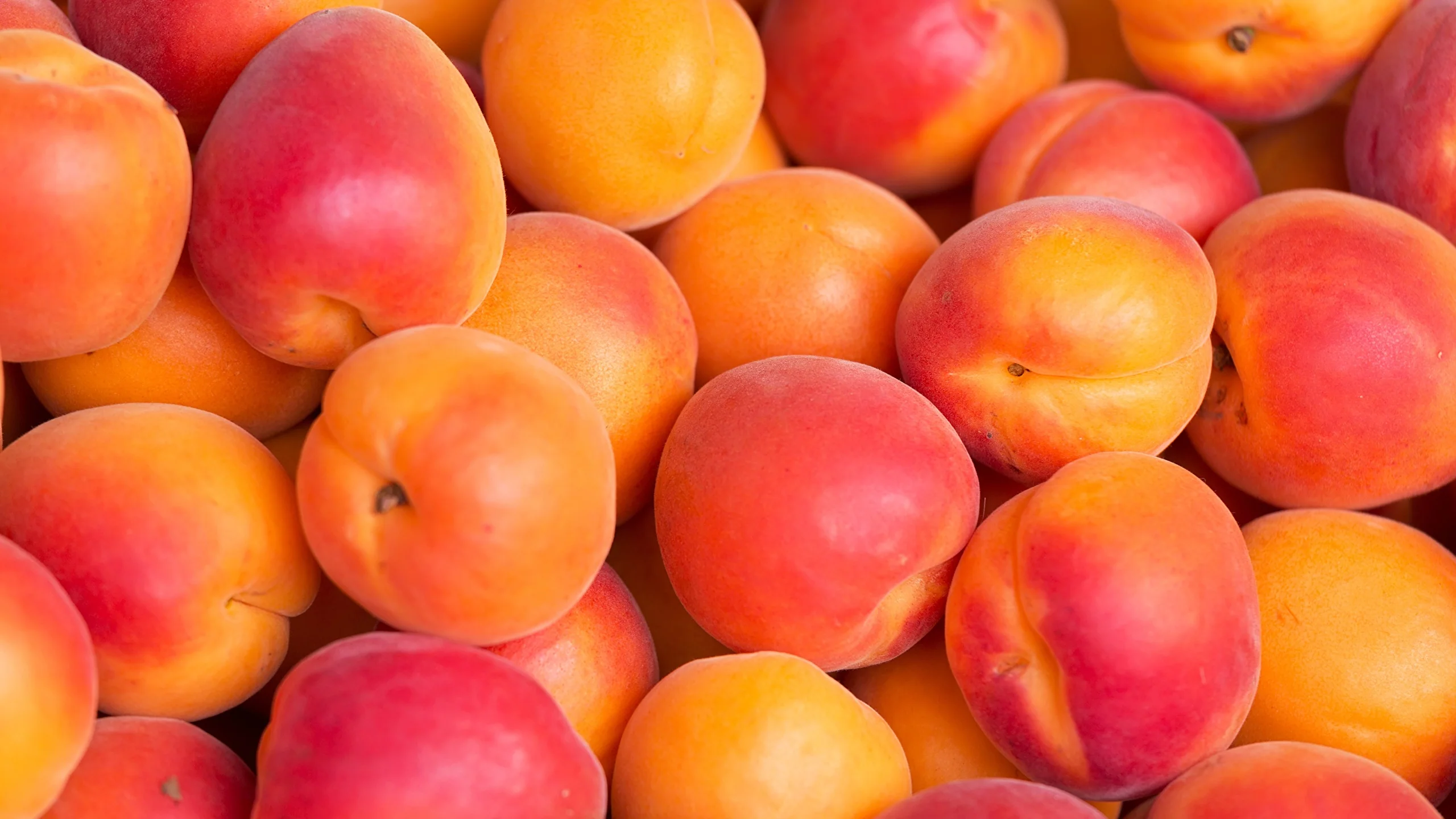 Pakistan Hidden Gem | The Peach of Swat Valley